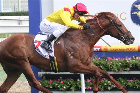 turffontein horse racing analysis|Turffontein Horse Racing Form Guide, Speed Maps & Odds Compariso.